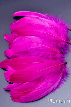 Gans - 11-15 cm - fuchsia